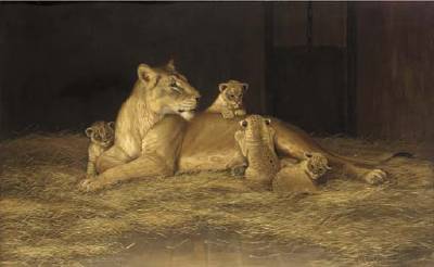Lioness and her Cubs