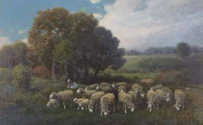 A Flock of Sheep Grazing