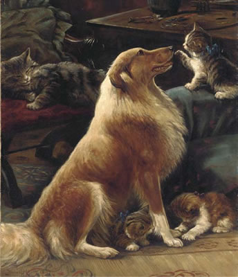 Playful Companions