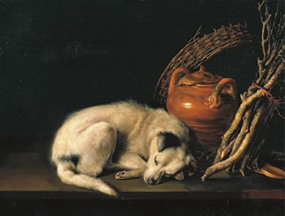 A sleeping dog beside a terracotta jug, a basket, a pair of clogs and a pile of kindling wood