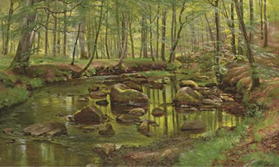 Mossy rocks in a stream