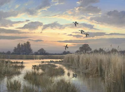 The Evening Flight, Martham, Norfolk Broads by Colin W Burns - Auction record, sale price, and art valuation. Compare with similar artists and explore comparable artworks.