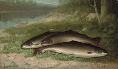 Trout on a River Bank