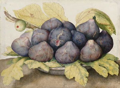 A plate of figs