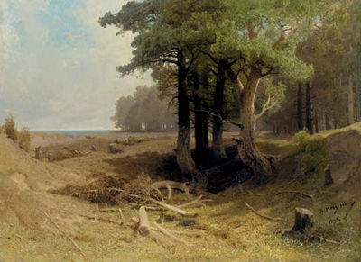 Forest Landscape