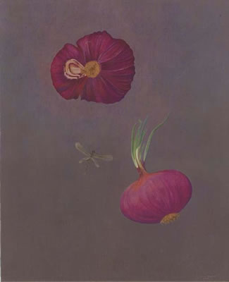 Cebollas