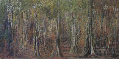 Selva Tropical Decidua (Forêt, Tropicale, Décidue)