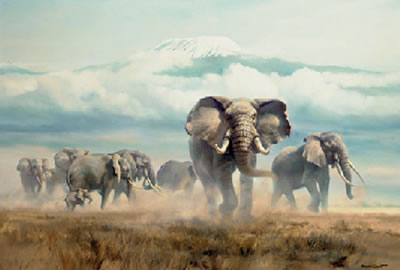 Elephants