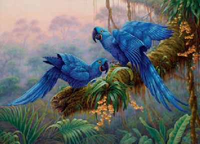 Jewels of the Pantanal