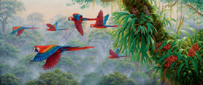 Dawn Patrol