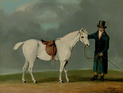 A Gentleman with a Saddled Grey Hunter