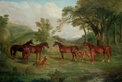 The Streatlam Stud, Mares and Foals by John Frederick Herring Sr - Auction record, sale price, and art valuation. Compare with similar artists and explore comparable artworks.