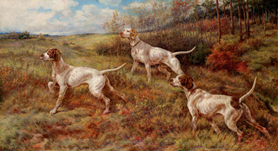 Hunting in the Fall-Three Pointers