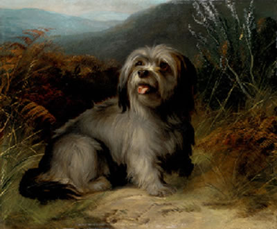 A Terrier in a Landscape