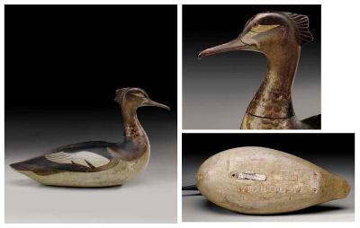AN EXCEPTIONAL AND RARE RED-BREASTED MERGANSER HEN