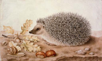 Sample artwork by Giovanna Garzoni (1600 - 1670), known for painting - View similar artists and auction records