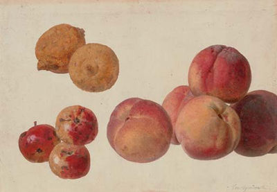 A study of peaches, lemons and crabapples