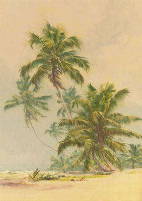 Palm Trees on a Florida Beach