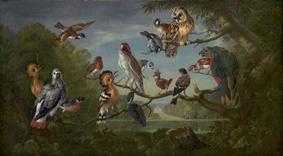 A concert of birds by Pieter Casteels III - Auction record, sale price, and art valuation. Compare with similar artists and explore comparable artworks.