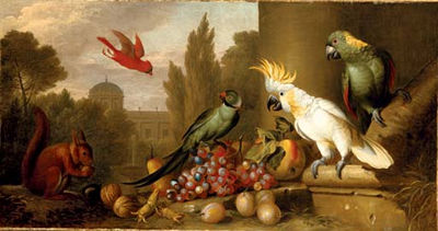 A Cardinal, a Plum-Headed Parakeet, a Lesser Sulphur-Crested Cockatoo, a Yellow-Naped Amazon, and a squirrel with grapes, apples, plums and walnuts in a ruin, a city beyond