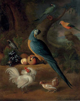 Parrots, chickens, and other birds, in a landscape
