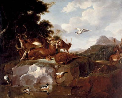 Deer, ducks, a rabbit, a spoonbill and other animals in a landscape