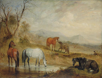 Horses at a Stream in an Extensive Mountainous Landscape
