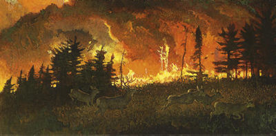 Fire Storm