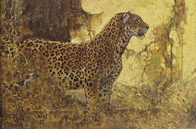 Leopard
