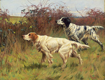 Setters