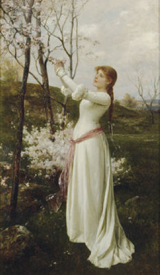 Picking cherry blossoms