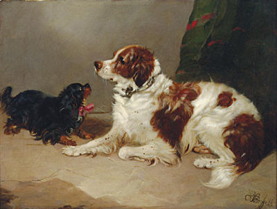 A Spaniel and a King Charles at play