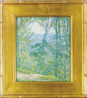 Forest landscape