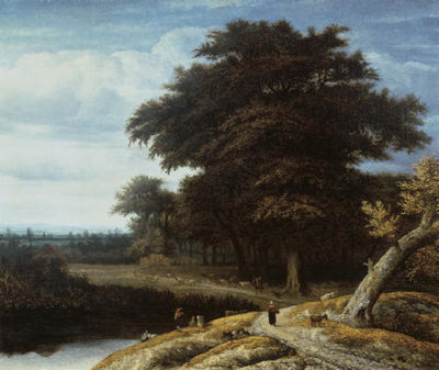 A wooded landscape