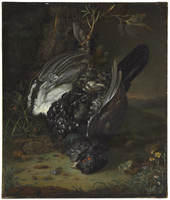 A blackcock in a wooded landscape