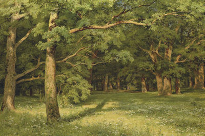THE FOREST CLEARING