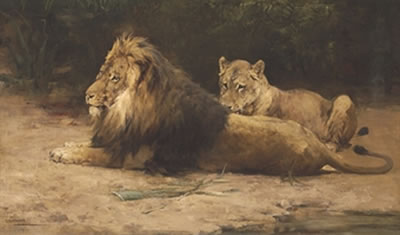 Lion and Lioness at Rest