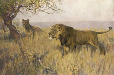 A LION AND A LIONESS SURVEYING THEIR TERRITORY