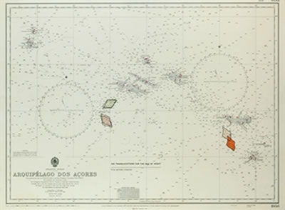 Six translocations for the Isle of Wight (from The Book of the Tumbler on Fire)