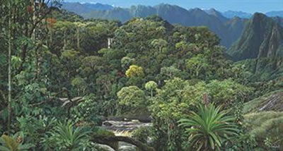 Sample artwork by Mauricio Barbato (Born 1964), known for painting - View similar artists and auction records