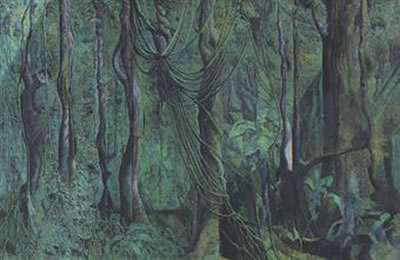 Selva