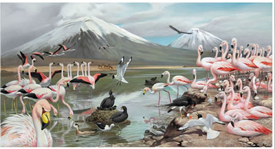 Sample artwork by Roger Tory Peterson (1908 - 1996), known for bird portraiture painting, identification - View similar artists and auction records
