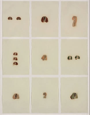 Untitled (9)