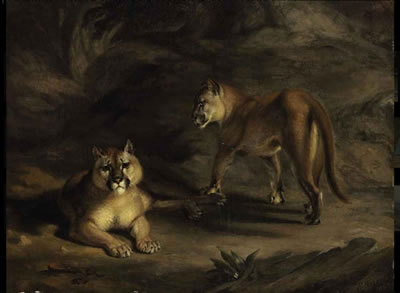 Two Pumas by William Huggins - Auction record, sale price, and art valuation. Compare with similar artists and explore comparable artworks.