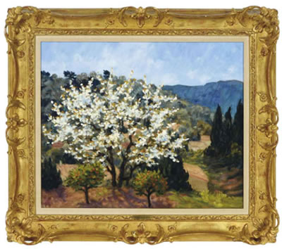 A white blossom tree in Provence