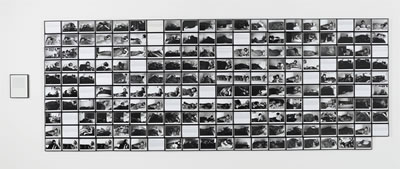 Sample artwork by Sophie Calle (Born 1953), known for conceptual, installation and performance art, teaching, photography - View similar artists and auction records