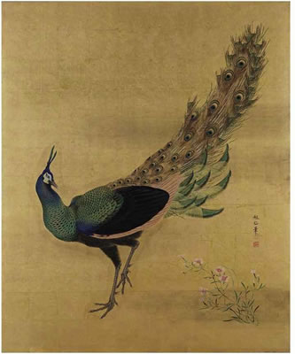 Peacock and pinks