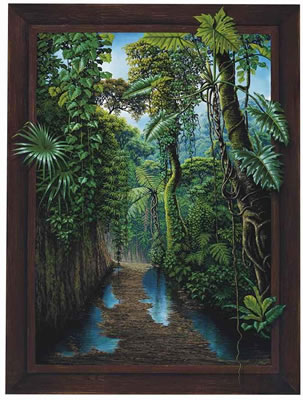 Reflejos del bosque