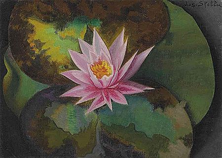 Pink Water Lily