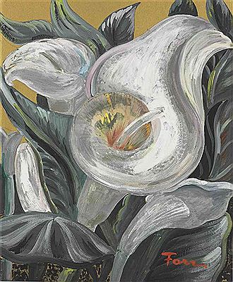 Calla Lily